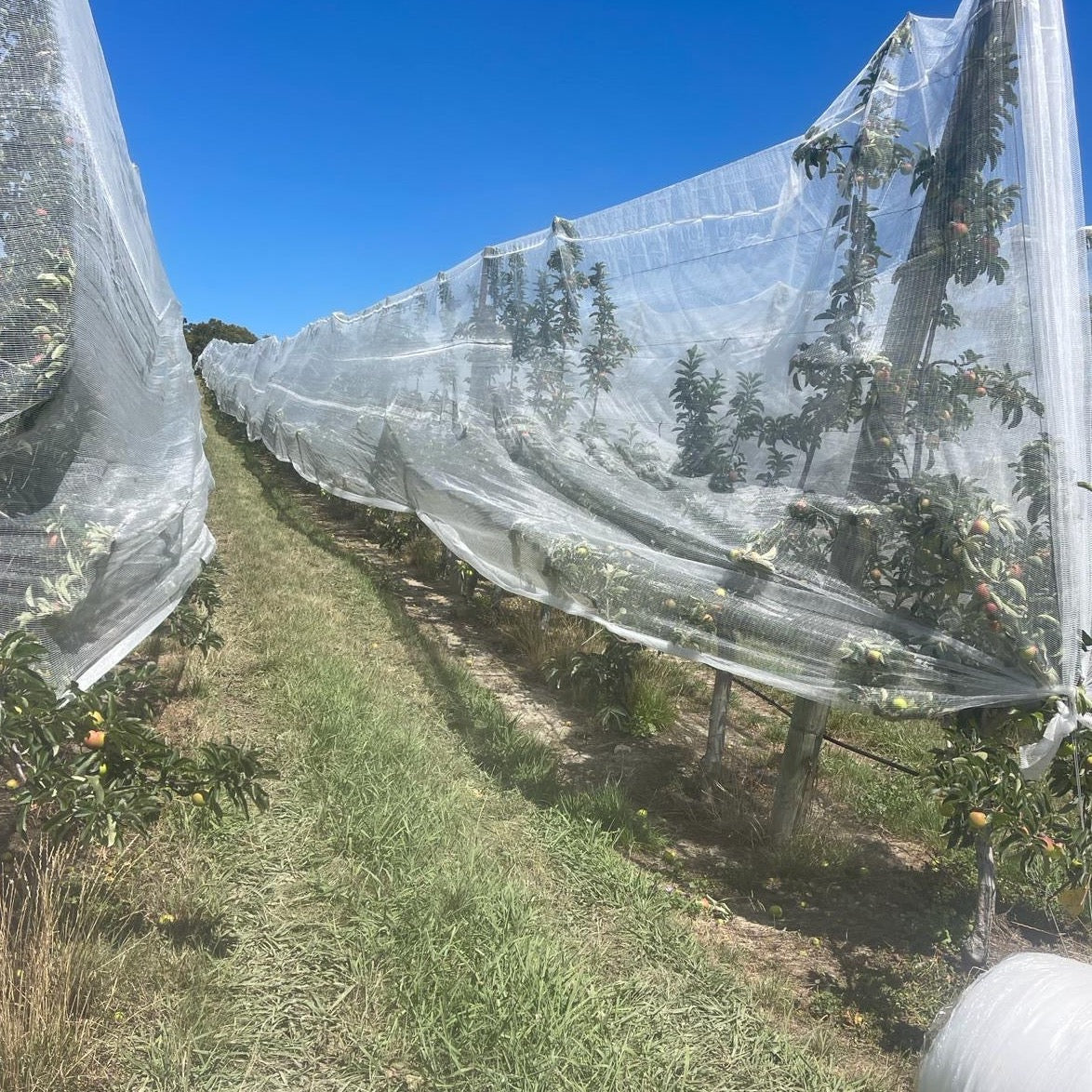 Drape Net – Premium Horticultural Imports NZ